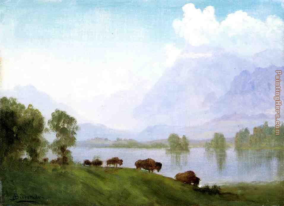 Buffalo Country painting - Albert Bierstadt Buffalo Country art painting